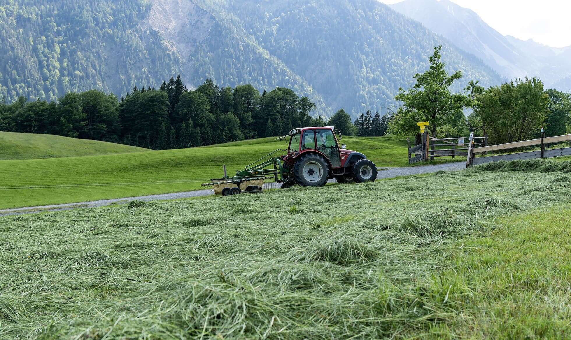 Being Organic in EU